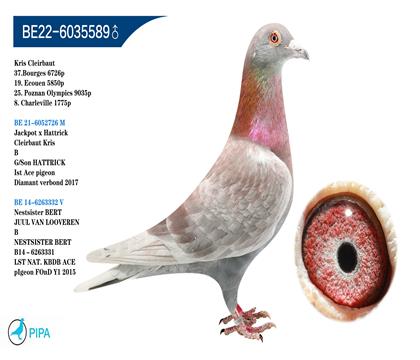 ñ��Ϸ����Ѫ �����ɼ�9035��25λ