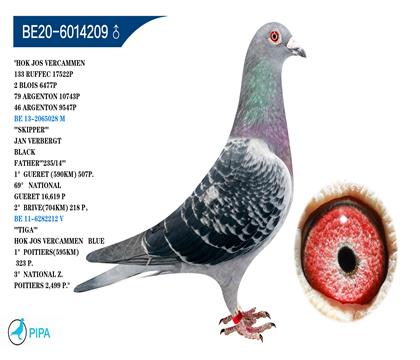 ��˹.����ԭ�� �����ɼ�6477���Ǿ�