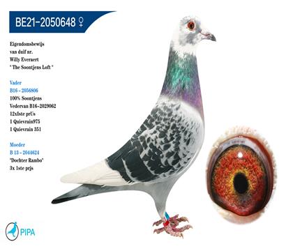 ɣ��ʿѪϵ������������˹X����ֱŮ��