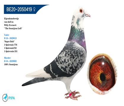 ����.��������ԭ�ᡰɣ��ʿѪϵ�� �����ɼ�7405��5λ