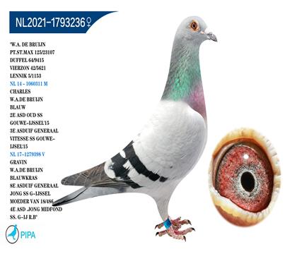 ����.�ϲ���ԭ�� ����������23107��125λ