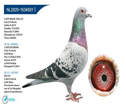 �ֿ˸��ӡ����˴���X�¶�����457��