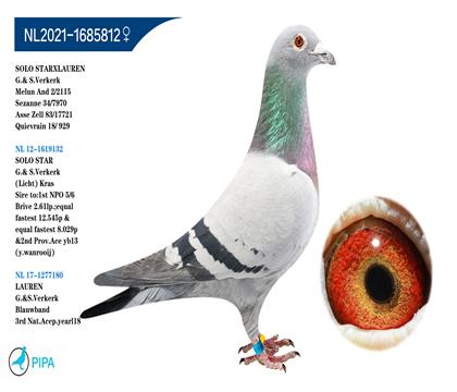 �ֿ˸���ԭ�� ��������X����