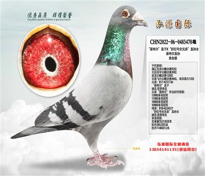 ���Ƽ����ƽ��ۣ������ض���ֱ��