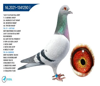 ��.����������Ů�����޺š����� �����ٻ�5958��24λ