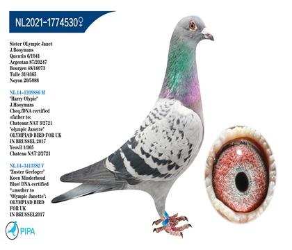 ��.����˹ԭ�ᡰ��������� �����ɼ�20247��87λ