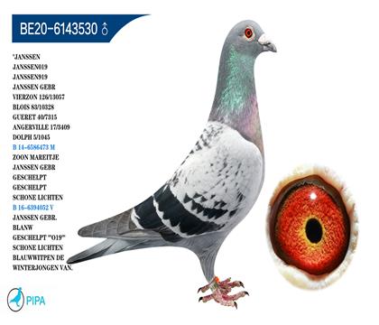 ղɭ�����к�019��Ѫ �����ɼ�7315��40λ