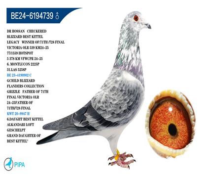 ��ѻ��ض���ѩ������Ѫ �����ɼ�2225��6λ