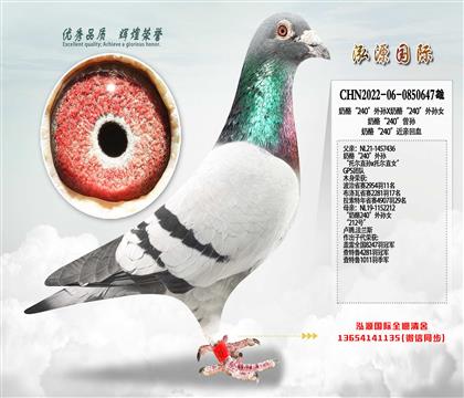 ���ҡ�240������X���ҡ�240������Ů