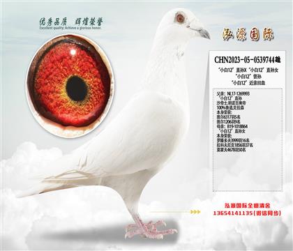 ��С��12��ֱ��X��С��12��ֱ��Ů