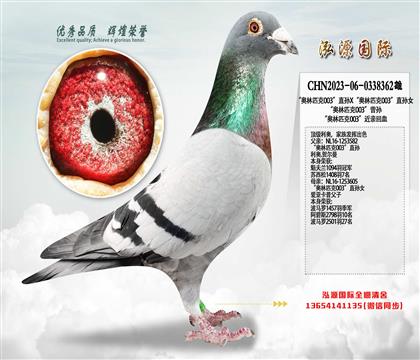 ������ƥ��003��ֱ��X������ƥ��003��ֱ��Ů