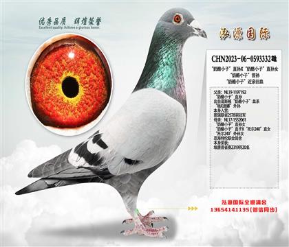 ������С�ӡ�ֱ��X������С�ӡ�ֱ��Ů