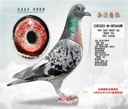 ��������ֱ��X���¹�����ֱŮ