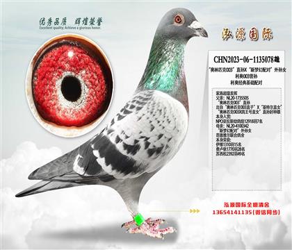 ���Ƽ���������ƥ��003��ֱ��X�����λ���ԡ�����Ů