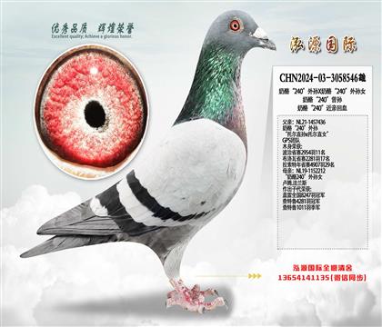 ���ҡ�240������X���ҡ�240������Ů