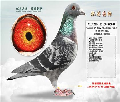 ���Ͽ�����¡�ֱ��X���Ͽ�����¡�ֱ��Ů