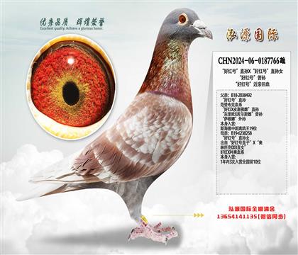 ���ú�š�ֱ��X���ú�š�ֱ��Ů