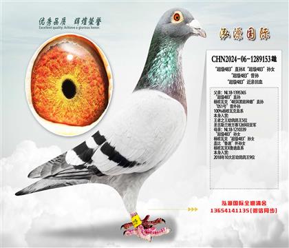 ������483��ֱ��X������483����Ů