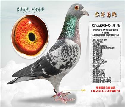 ̨�����ĸ�������ۺ�39λ�������޵�����