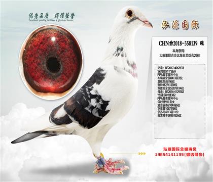 ̨�帣־���������ۺ�29λ����ʱ��911����Ů