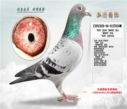 ��������ֱ��X���¹�����ֱŮ