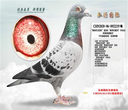 ���Ƽ���������ƥ��003��ֱ��X�����λ���ԡ�����Ů