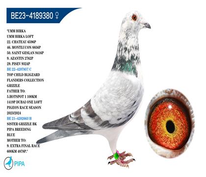 �����ض���ѩ������������� �����ɼ���9324��29λ