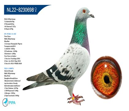 ���ǿ��ո��� �����ɼ�7127��18λ