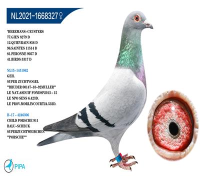 ���ǿ���ԭ�ᡱ��ʱ��911���Ѫϵ��