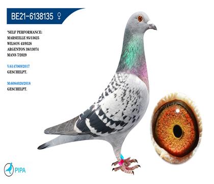 �Ͽ����������� �����ɼ���13074��38λ