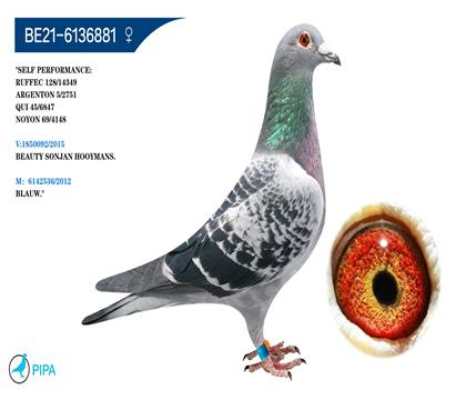 �Ͽ�.������ԭ�ᡰƯ���к�����Ѫ