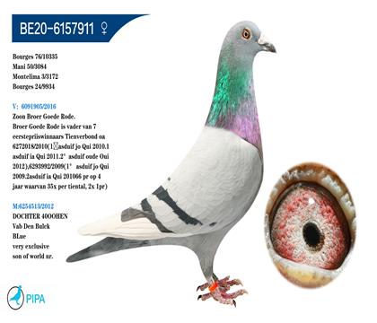 �Ͽ�.���ǲ���ԭ�� �����ɼ�3172�𼾾�