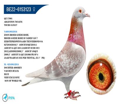 �Ͽ�.���ǲ���ԭ�� �ú��ȫ�ֵ���� 14376��79λ