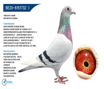 �Ͽ�.���ǲ���ԭ�ᡰ���ض���ֱ��