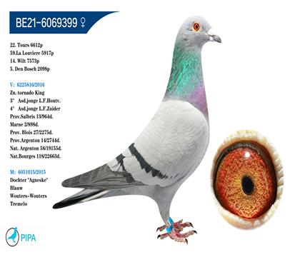 ������-������ԭ�ᡰ��������������