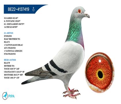 ���׵�.��ϣ�ֵ� �����ɼ�9677��61λ