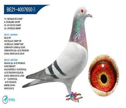 ���׵�.��ϣ�ֵ�ԭ�� ��¬.�ٰ��� �����ٻ�5126��17��