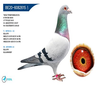 ��˹��.�����߶�ԭ������240���