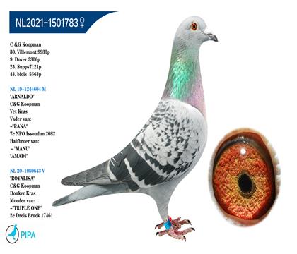 ���������ӡ�С�Ͽˡ����ؽ��� �����ٻ�7121��25��