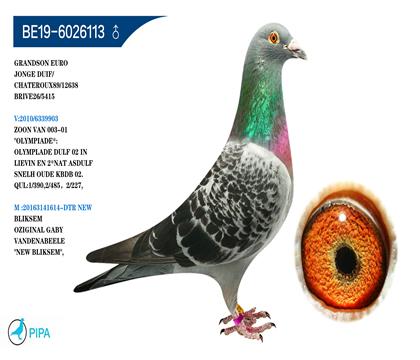 ����ԭ�ᡰ����ƥ��003����� �����ɼ�6005��8λ