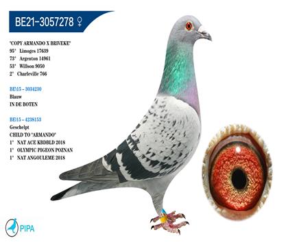 �Ƕ�����˹����ԭ�� ��������� �����ɼ�9050��53λ