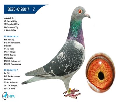 ��˹.����ԭ�� �����ٻ�6477��14λ