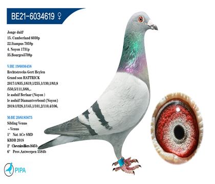 ʷ�ٷ�.�������� �����ٻ�6030��15λ