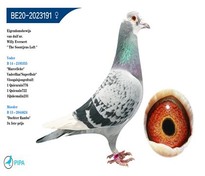 ����.��������ԭ�ᡱɣ��ʿѪϵ�� 3862��13λ