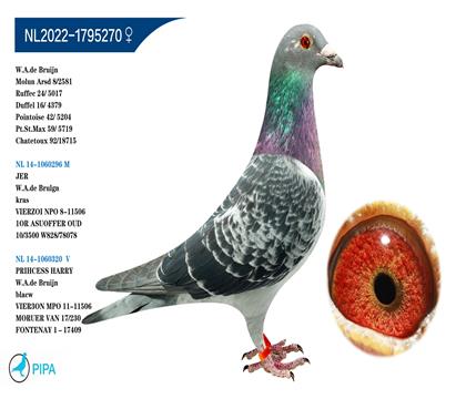 ����.�ϲ���ԭ�� ��������� �����ɼ�5017��24λ