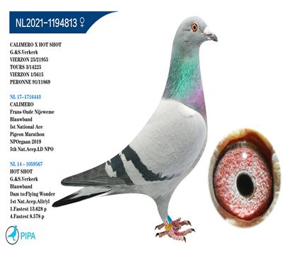 �ֿ˸���ԭ�ᡰ����÷��X�ȵ�š�