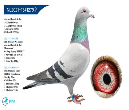 ��.����������Ů�����޺š����� �����ٻ�6905��18λ