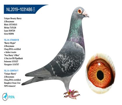 ��.����˹ԭ�ᡰƯ������ֱŮ�� �����ɼ���6729��35λ