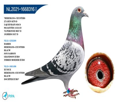 ��ŷԪ����XŷԪֱŮ�� �����ɼ�8279��27λ