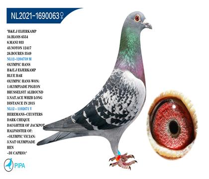 ���ǿ��ո��ӡ���ͷ�ʡ���Ѫ �����ɼ���6554��34λ